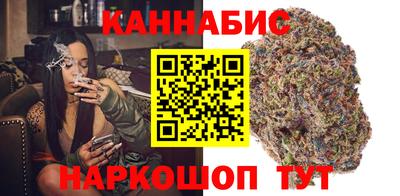 крисы Брянск