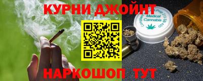 сатива Бердск