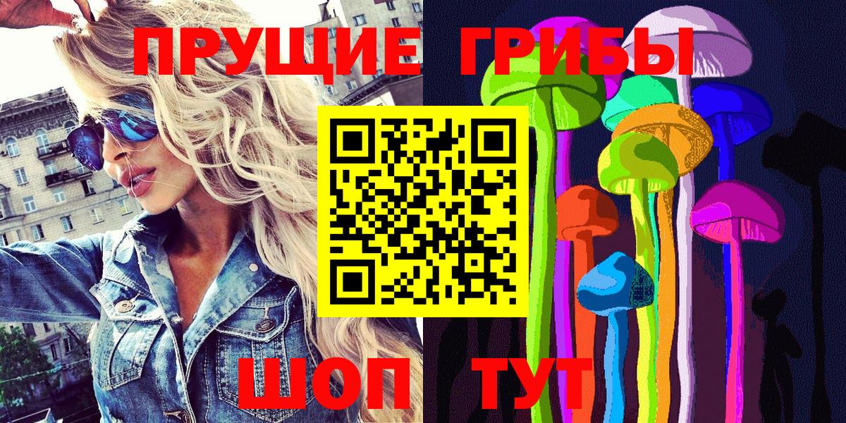 Псилоцибиновые грибы Psilocybe Новочеркасск